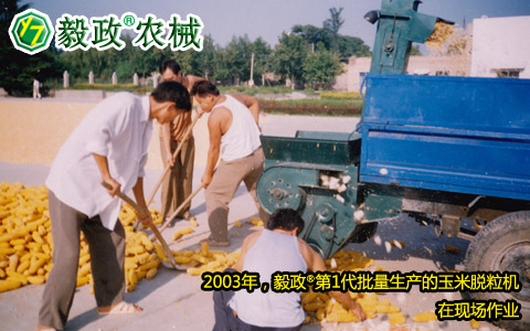 2003年,毅政,第1代,量產(chǎn),玉米脫粒機(jī),作業(yè)現(xiàn)場(chǎng)